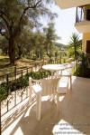 Views to the olive groves  form the balcony 