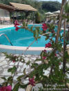 The beautifull swimming pool of Villa