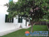 Villa Matina,Apartrments in Parga Greece in a quiet,Traditionalal  area with high standards,close to centre of Parga