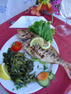 Hotel Cat A with swimming pool, in Ammoudia village,only 18 kilometers from Parga,High class,near the beach,for a quiet holidays.Traditional plate of fish.